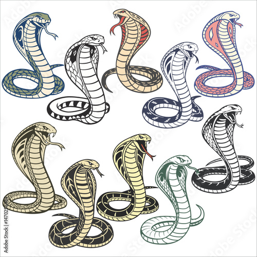 snake cobra vector