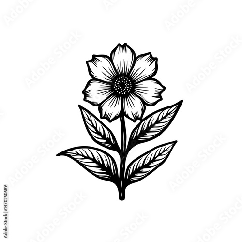 Elegant floral outline illustration with delicate petals and intricate leaf details