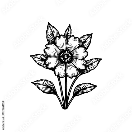 Elegant botanical illustration: A meticulously crafted floral design with refined lines