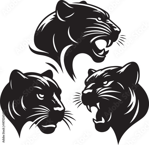 silhouette panthers vector