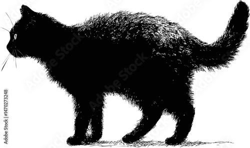 Furry black silhouette of a cat standing with raised tail, artistic sketch. Vector illustration