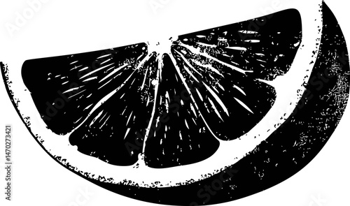 Black and white illustration of a citrus fruit slice, woodcut style. Vector illustration
