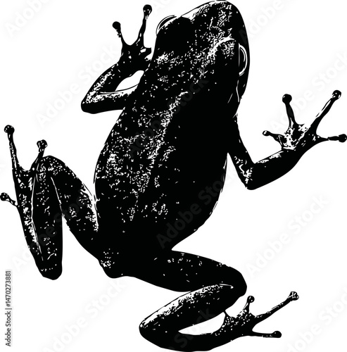 Silhouette of arboreal frog in black and white, artistic wildlife concept. Vector illustration