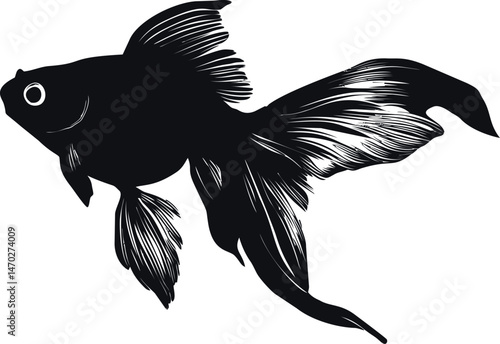 Black and white silhouette of a flowing tailed goldfish illustration. Vector illustration