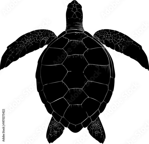 Silhouette of a sea turtle in detailed black and white design. Vector illustration