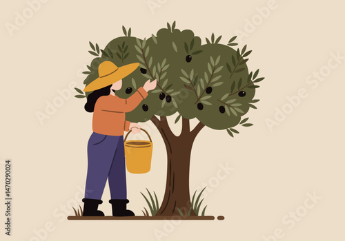 A woman harvests olives in a sunny grove. She wears a hat and collects olives in a basket. Olive Day 2025 illustration.