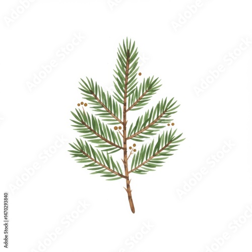 Detailed Watercolor Painting of a Pine Branch
