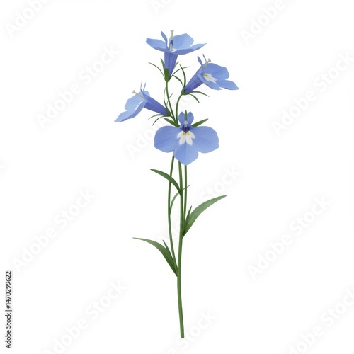 Delicate Light Blue Flowers on White Background