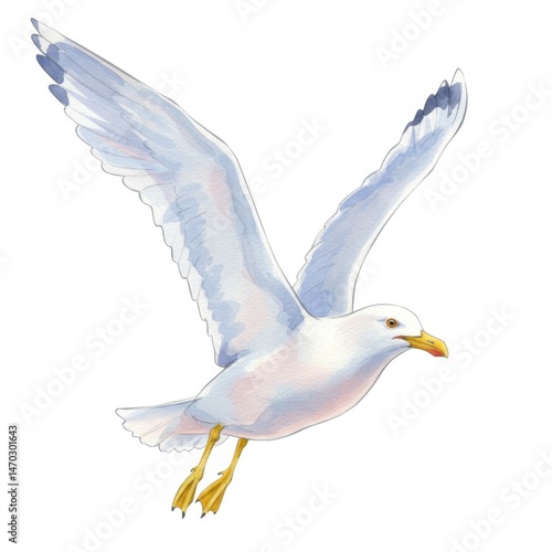 Watercolor Painting Of A Seagull In Flight