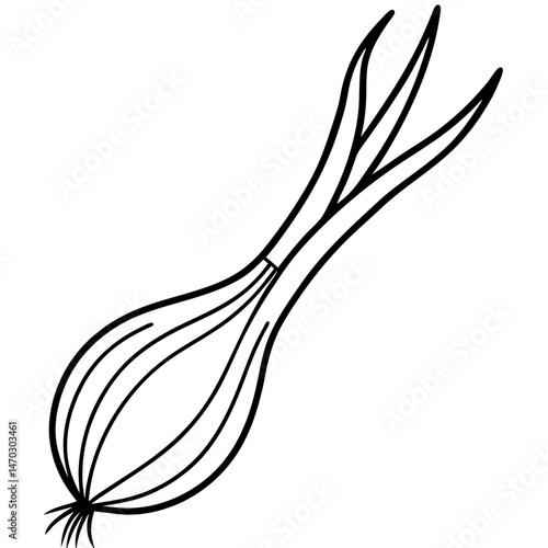 Scallion outline vector