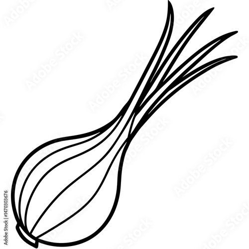 Scallion outline vector