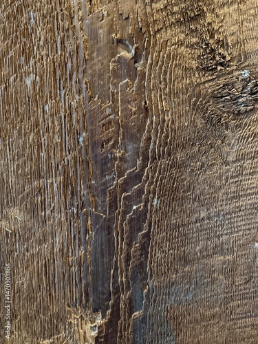 Close-up of rough aged wood texture with natural grooves and details, rustic background.