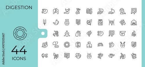 Set of Digestion line icon. Pack of health, digestive, intestine, immunity, anatomy and more. Expanded stroke icons. Body icon collection. Editable stroke. Vector illustration.