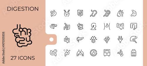 Set of Digestion line icon. Pack of health, digestive, intestine, immunity, anatomy and more. Expanded stroke icons. Body icon collection. Editable stroke. Vector illustration.