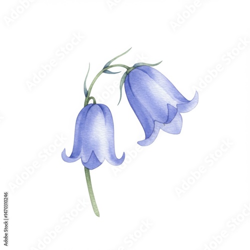 Watercolor Painting of Two Delicate Bluebells