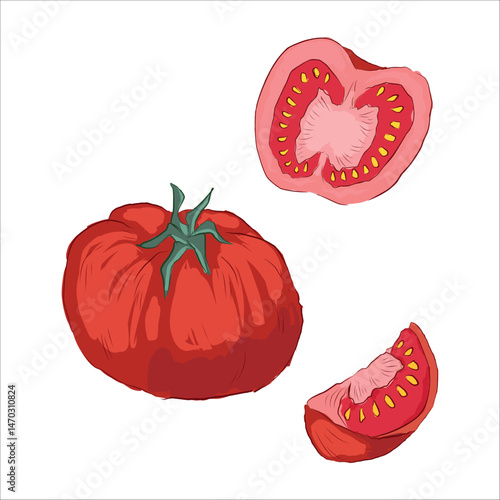 picturesque red tomatoes, in section. stylization. vector illustration. hand drawn. decor, design.