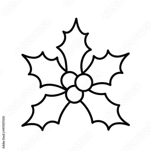 charismas holly star decoration