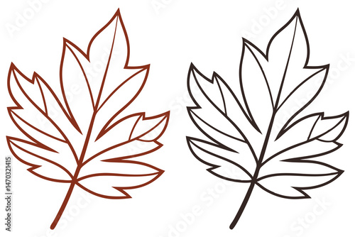 Two outlined maple leaves are displayed in brown and dark brown colors