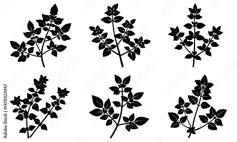 Naklejka premium Oregano silhouette vector