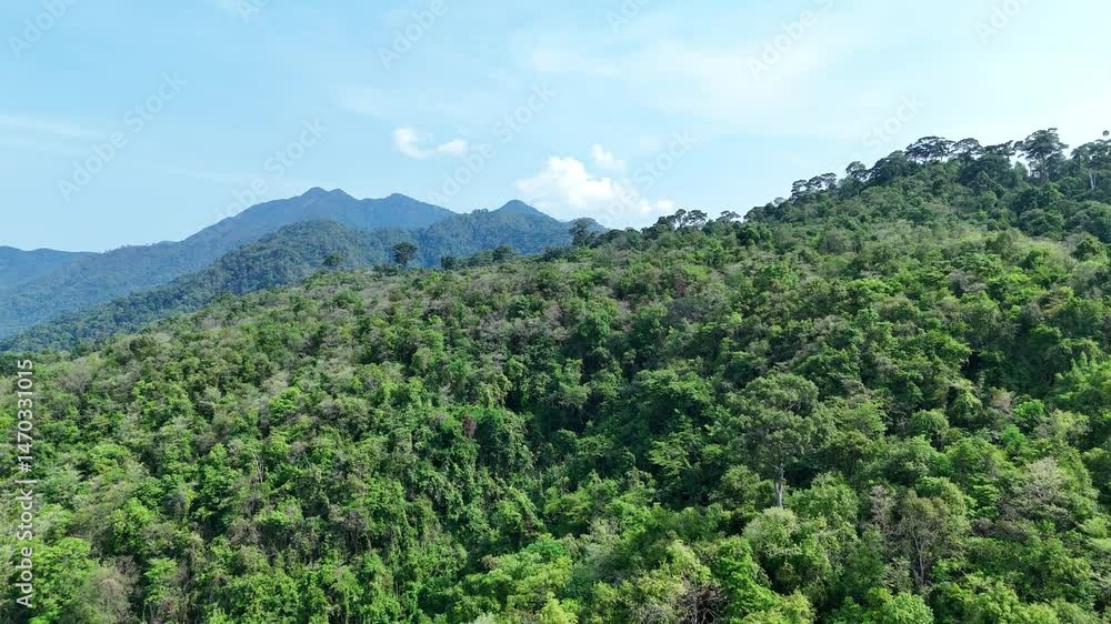 Aerial drone shot over primary Jungle tropical rain forest in Nan, Thailand. Aerial view, moving over a rainforest tree canopy in a slow pace beautiful green nature background of a tropical forest. Aerial drone shot over primary Jungle tropical rain forest in Nan, Thailand. Aerial view, moving over a rainforest tree canopy in a slow pace beautiful green nature background of a tropical forest.