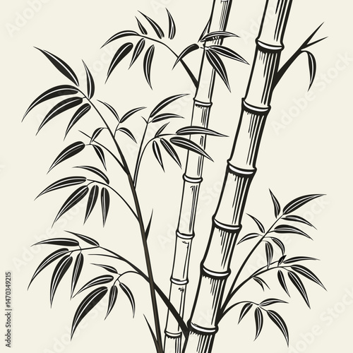 Bamboo hand drawn vector illustration