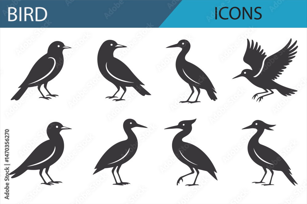 Fototapeta premium Birdwatching and Avian Icon Set for Nature Lovers