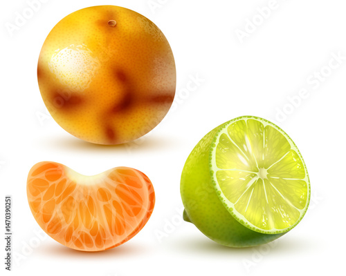 Realistic Citrus Fruit Trio: Tangerine, Orange, Lime