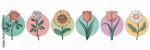 Circular arrangement of vintage rose, minimalist sunflower, flat tulip, and sketchy daisy on white background