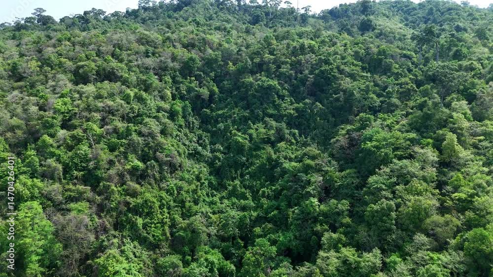 Aerial drone shot over primary Jungle tropical rain forest in Nan, Thailand. Aerial view, moving over a rainforest tree canopy in a slow pace beautiful green nature background of a tropical forest. Aerial drone shot over primary Jungle tropical rain forest in Nan, Thailand. Aerial view, moving over a rainforest tree canopy in a slow pace beautiful green nature background of a tropical forest.