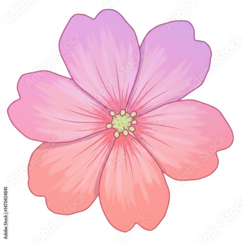 Pink and Purple Pastel Flower Blossom Illustration