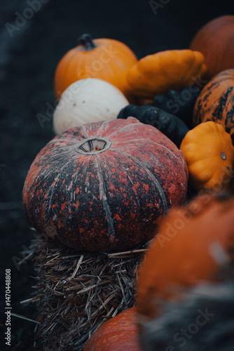 Pumpkin season