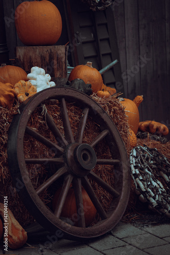 Pumpkin season