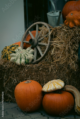 Pumpkin season