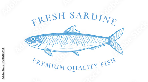 sardine fish illustration, hand drawing, sketch of seafood or fish products.