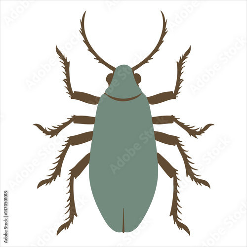 Animal cockroach  Graphic silhouette image set against a white backdrop