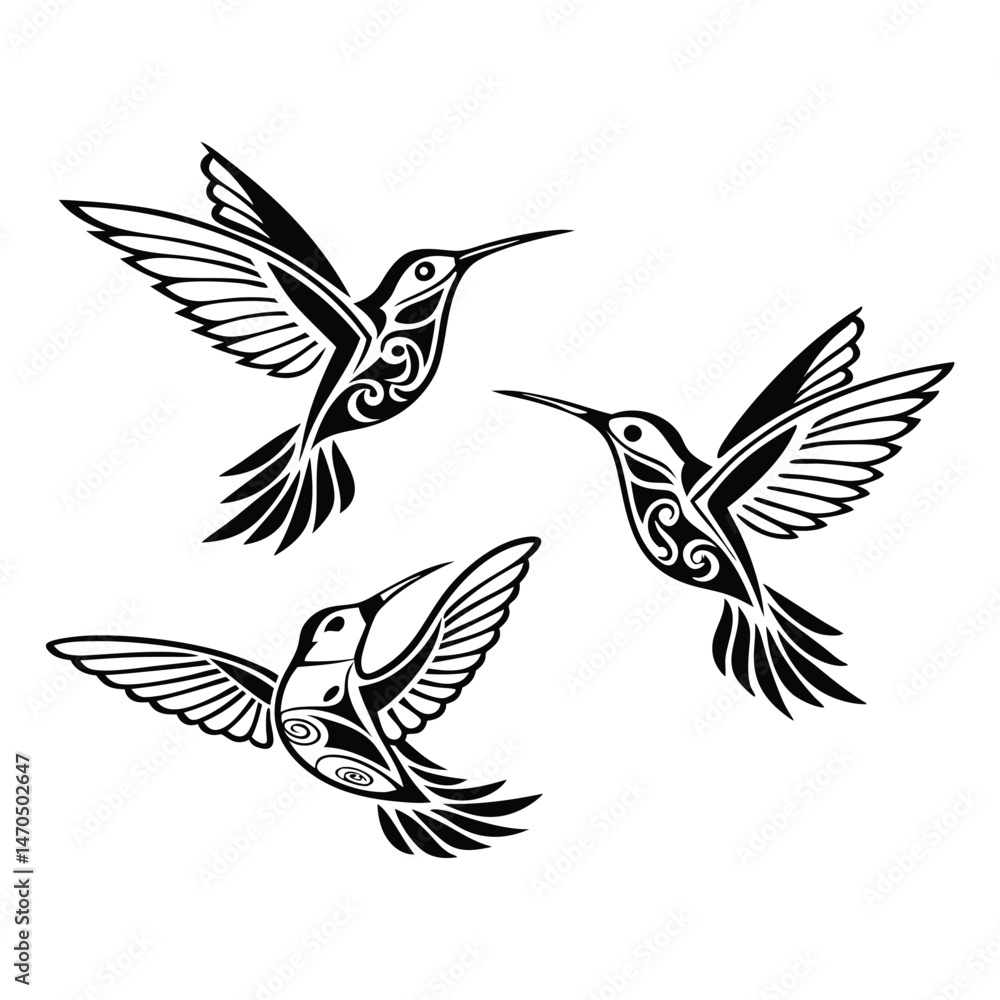 Obraz premium Hand drawn hummingbird outline illustration