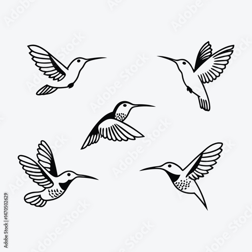 set of vector birds