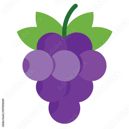 This is a vector illustration of a ripe purple bunch of grapes, a sweet and juicy fruit from a vine, with a green leaf, perfect for food or wine design
