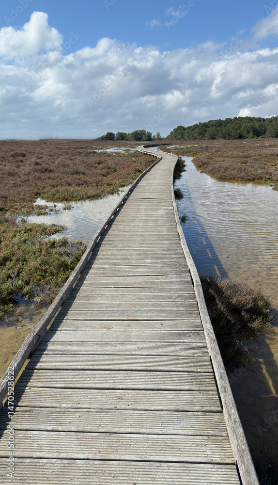 Obraz premium Wooden walkway leads to the sea