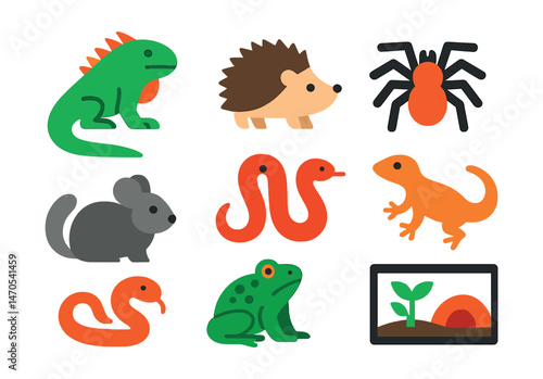 Flat vector icons of exotic pets: iguana, hedgehog, tarantula, gecko, chinchilla, snake, frog, exotic habitat.