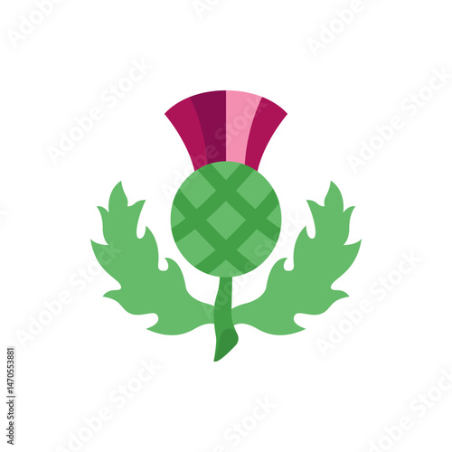 Illustration of a scottish thistle with green leaves and a pink flower on a white background design element