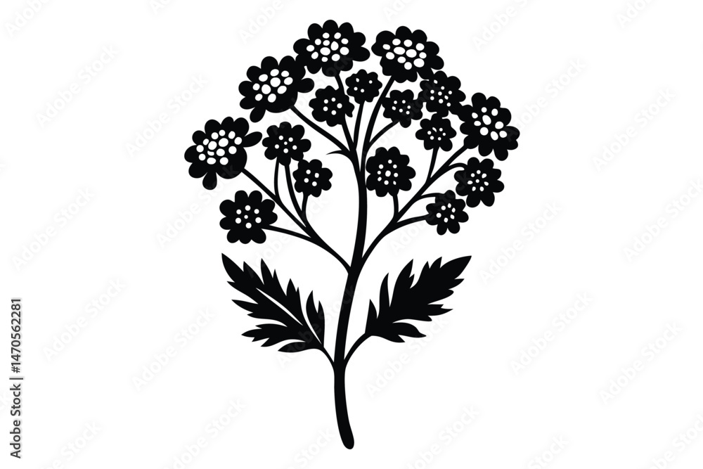 Obraz premium Black flower silhouette showcases clustered blossoms and textured leaves against a white backdrop