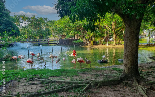 Parque Mangal das Garças