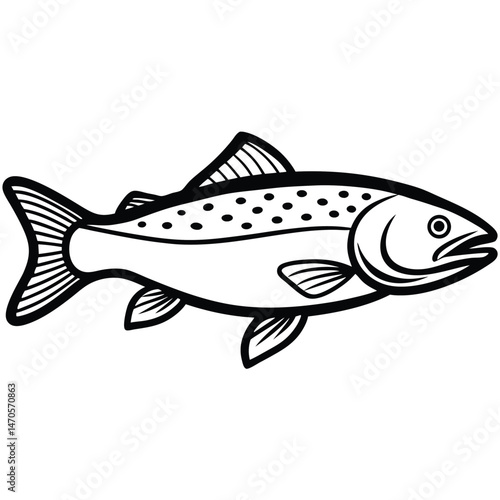 Black and white cartoon shows a swimming salmon with distinct spotted pattern