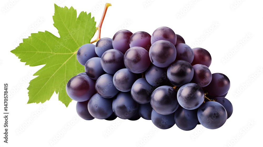 Fototapeta premium Lush Red Grapes with Green Vine Leaf on Transparent Background Perfect for Wine Labels and Food Designs