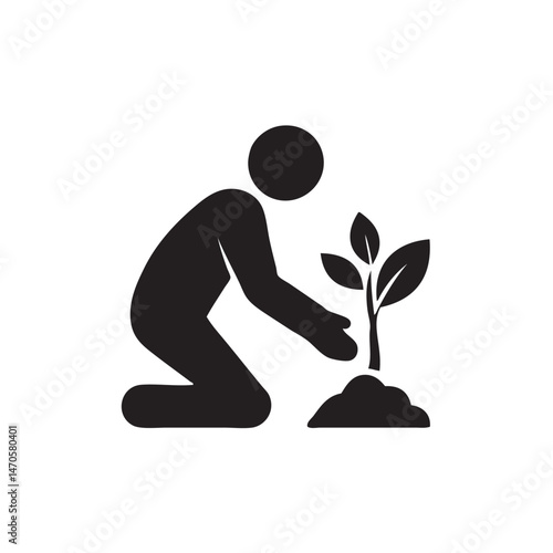 replanting trees