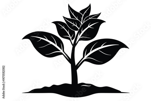 Silhouette of a tobacco plant grows from the soil, its leaves starkly defined