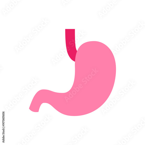 Illustration of a pink human stomach with a pink esophagus on a white background in a simple style