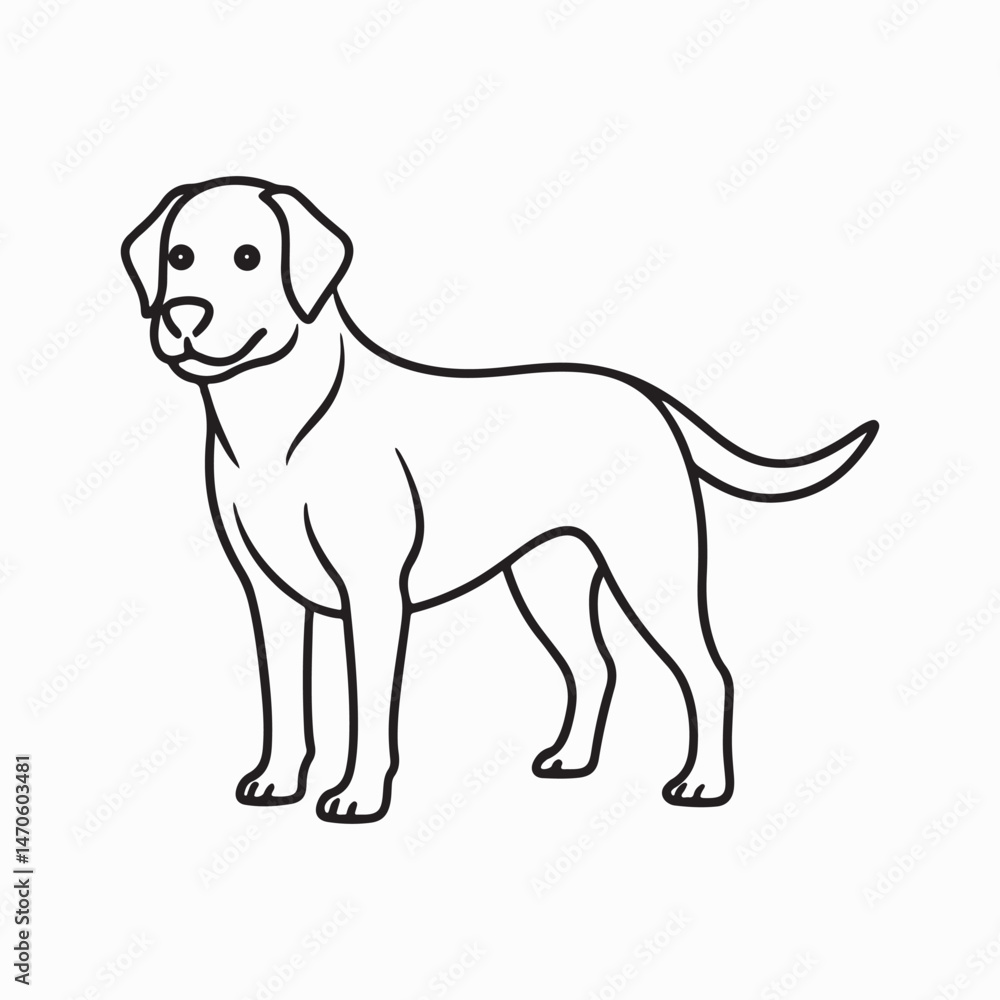 Fototapeta premium labrador retriever dog Vector Art illustration