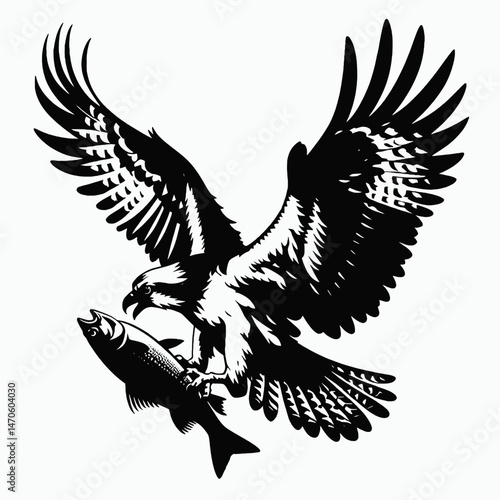 vector silhouette of an osprey with outstretched wings clutching a fish, dynamic form, white background 